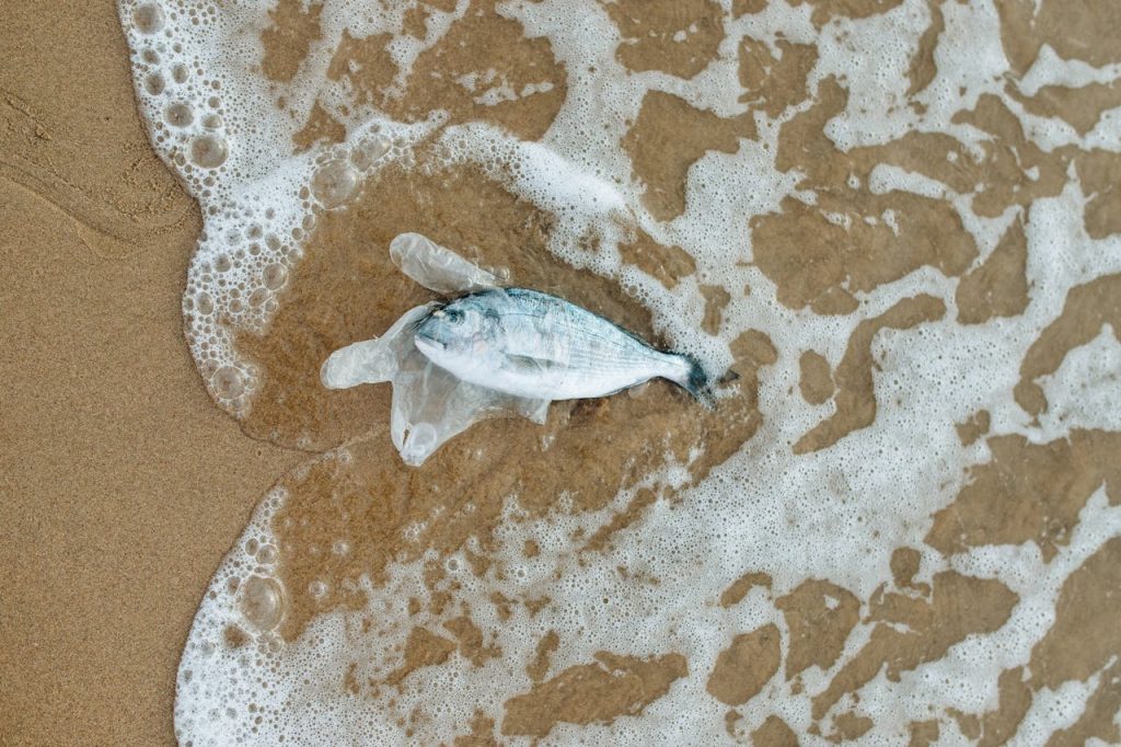 Impacto Ambiental dos Vazamentos de Água